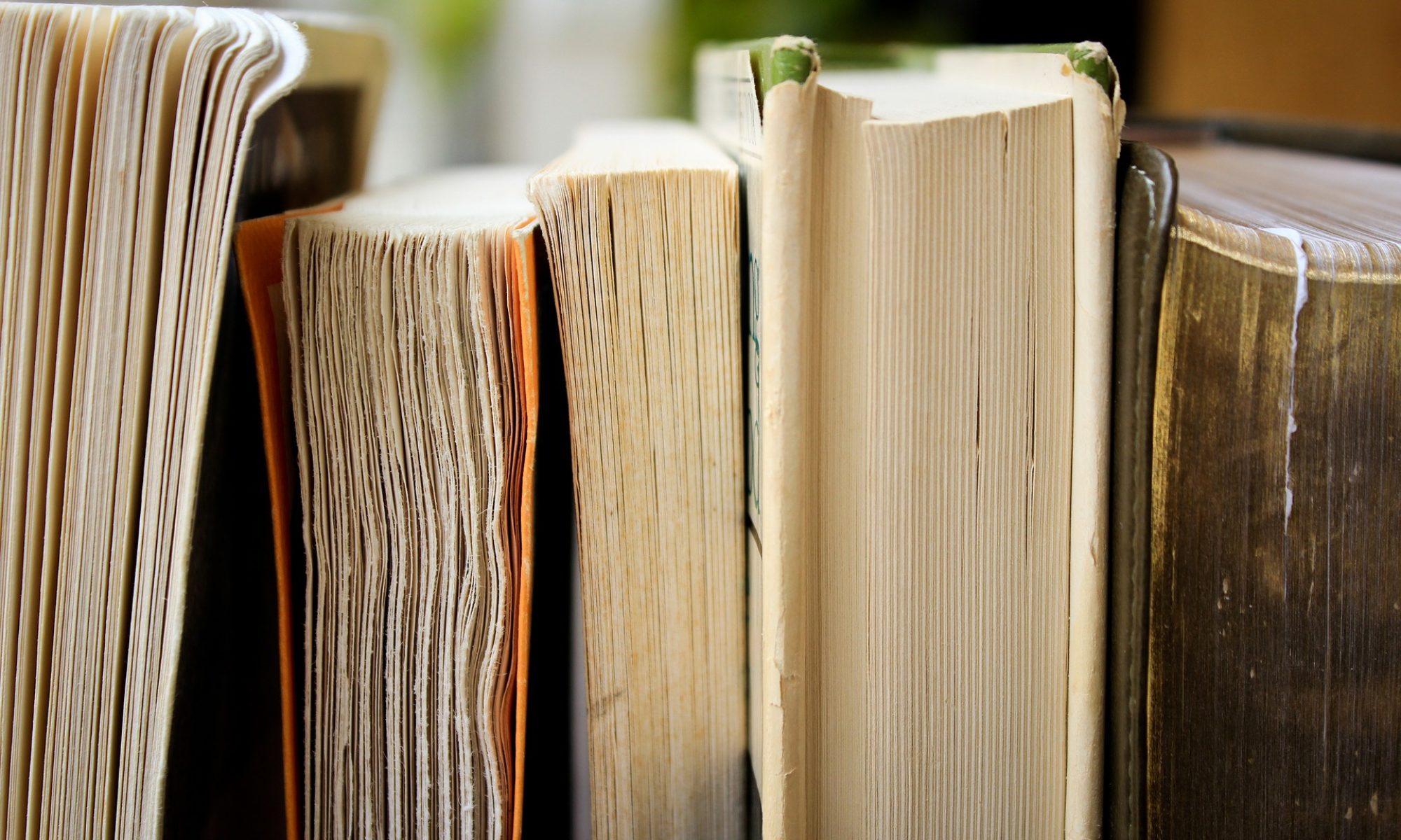 Archivio Casarrubea
