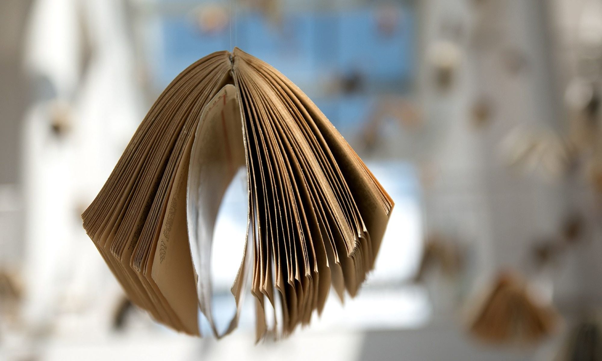 Archivio Casarrubea